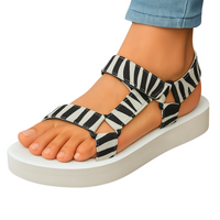 Zebra Blanco